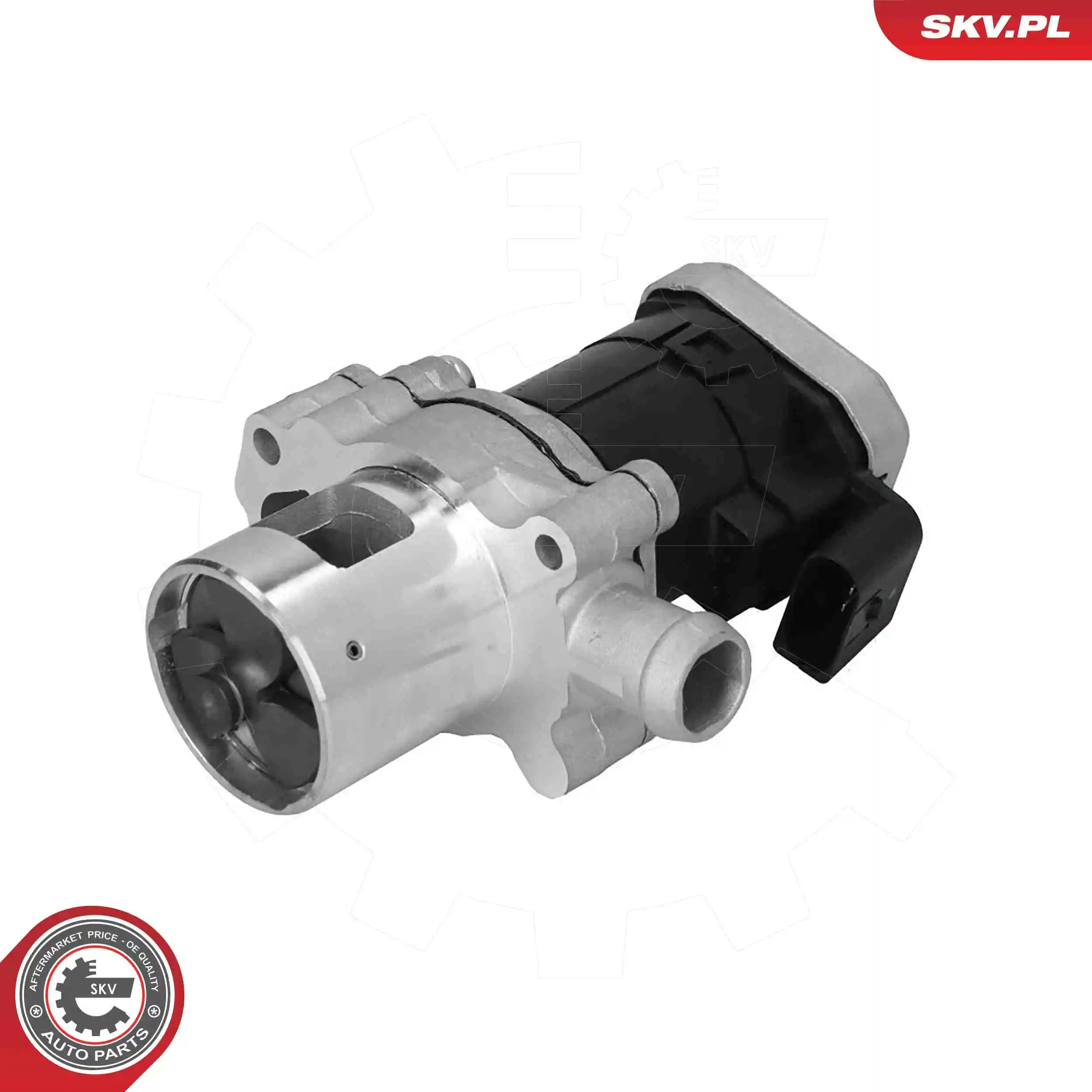 EGR Valve